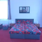 アパート Apartment Karlovy Vary カルロヴィ・ヴァリ