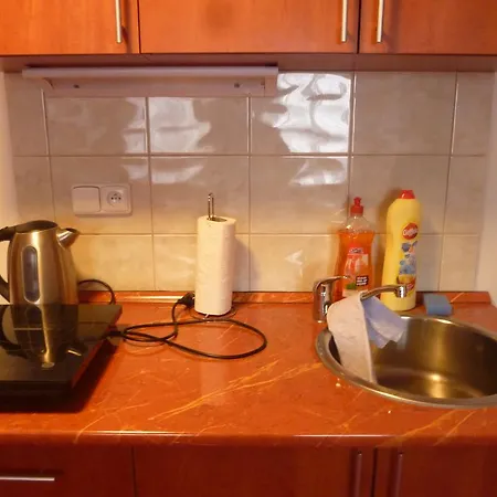 Apartment Karlovy Vary * 카를로비바리