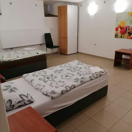 Apartment Karlovy Vary * 카를로비바리
