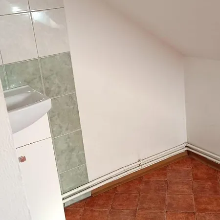 Apartment Karlovy Vary 아파트 *