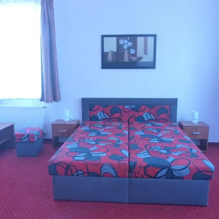 아파트 Apartment Karlovy Vary 카를로비바리