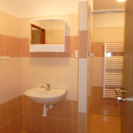 Apartment Karlovy Vary 카를로비바리