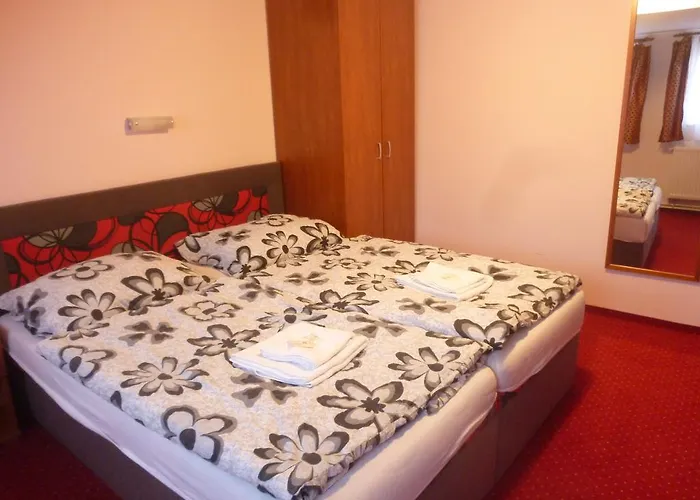 Apartment Karlovy Vary Appartement *