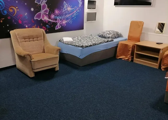 Apartment Karlovy Vary Appartement *