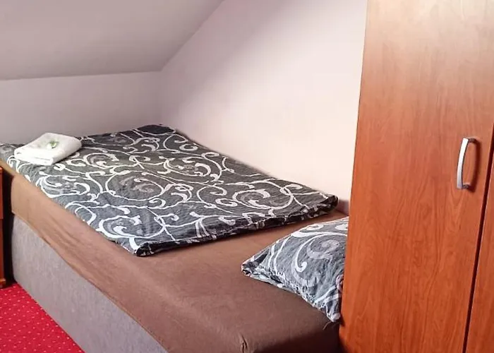 Apartment Karlovy Vary 아파트