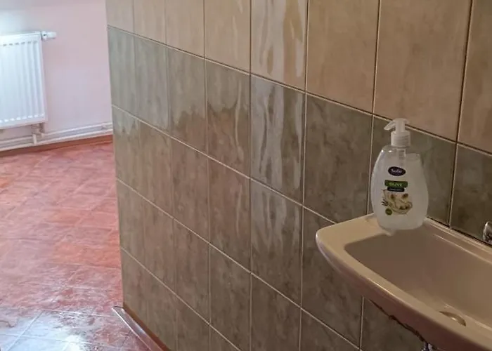 Appartement Apartment Karlovy Vary *