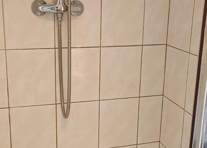 Apartment Karlovy Vary *