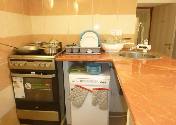 Apartment Karlovy Vary