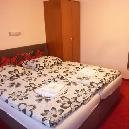 Apartment Karlovy Vary Апартаменты *