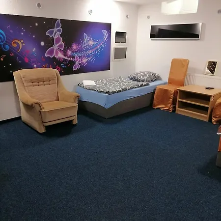 Apartment Karlovy Vary Апартаменты *