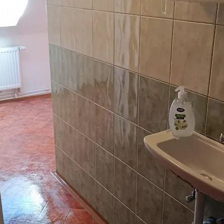 Апартаменты Apartment Karlovy Vary *