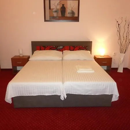 Apartment Karlovy Vary