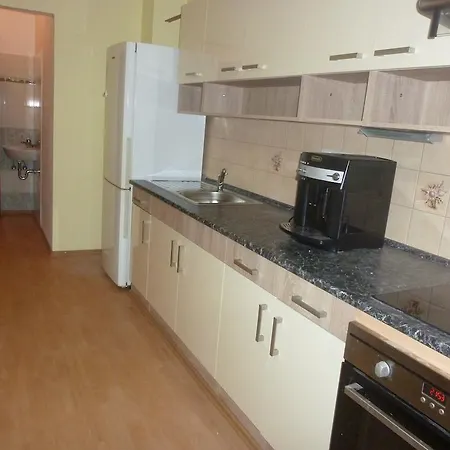 Апартаменты Apartment Karlovy Vary *