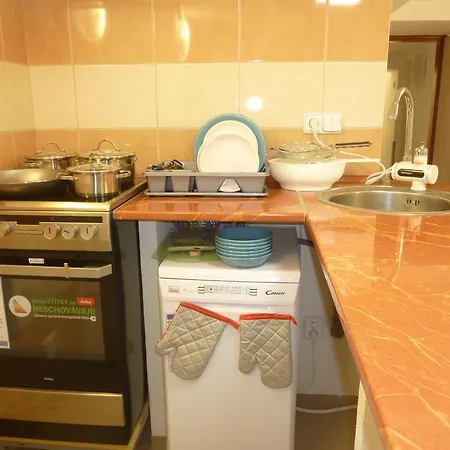 Apartment Karlovy Vary