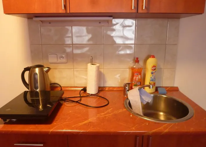 Apartment Karlovy Vary * Karlovy Vary